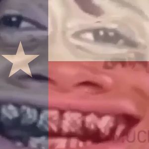 Meet your Posher, Raphael